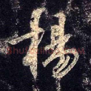 杨