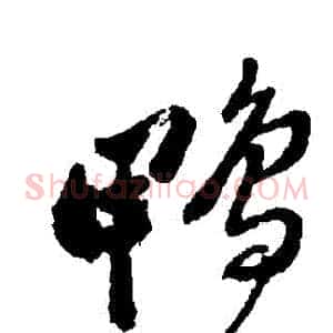 鴨