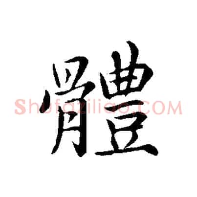 體