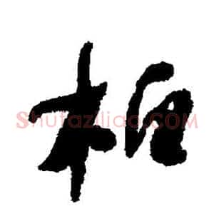 柏
