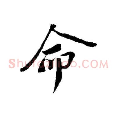 命