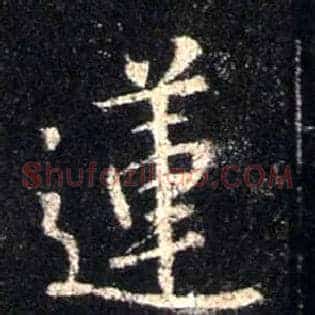 莲