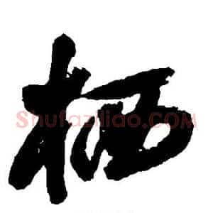 栖