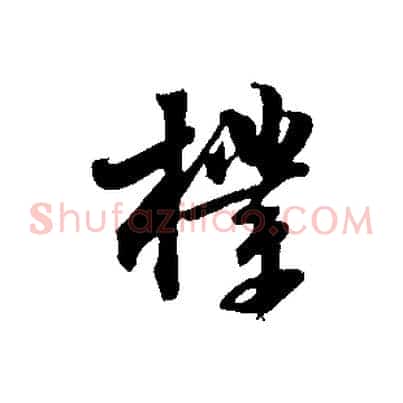 樸