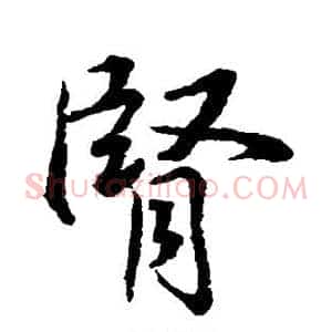 肾