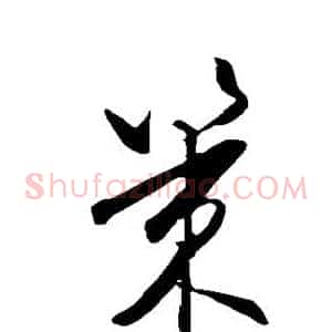 策