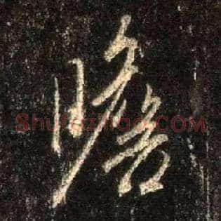 瞻