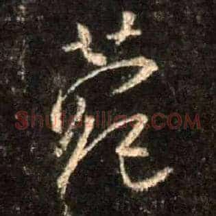 菀