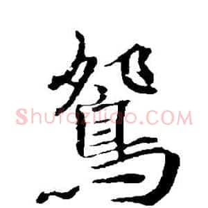鸳