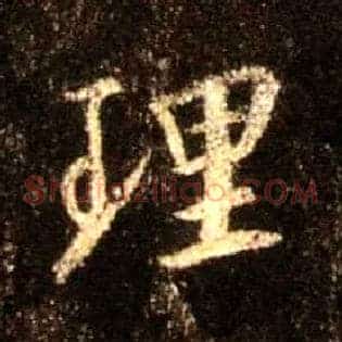 理