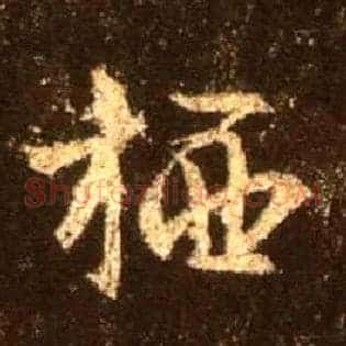 栖