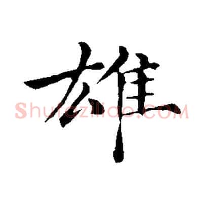 雄