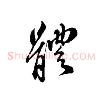 體
