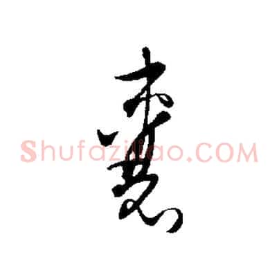囊