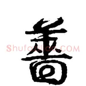 蔷