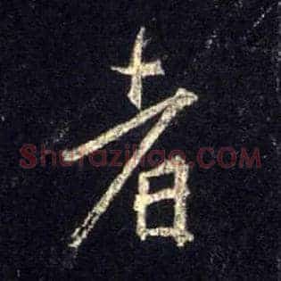 者