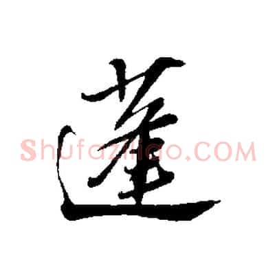 蓬