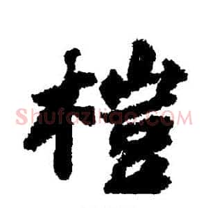 桤