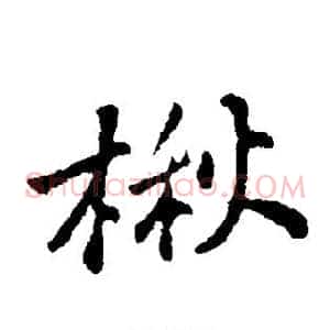 楸