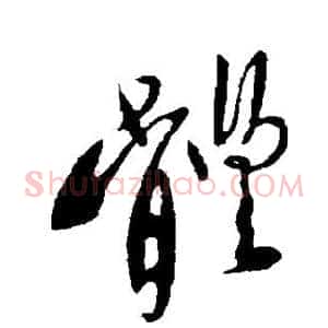 体