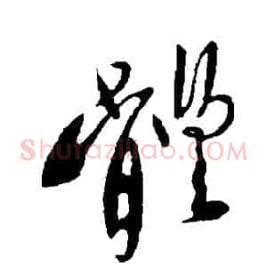 體