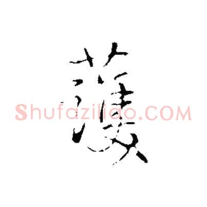 護