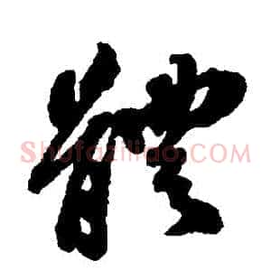 體