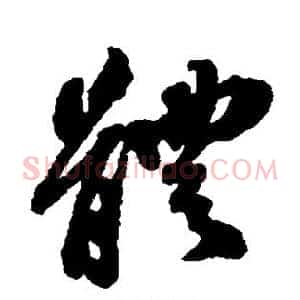 体