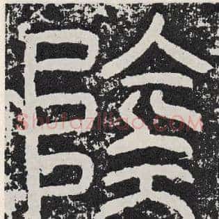 阴