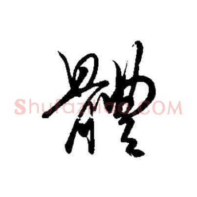 體