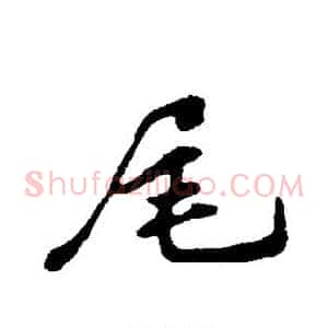 尾