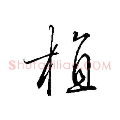 植