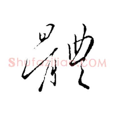 體