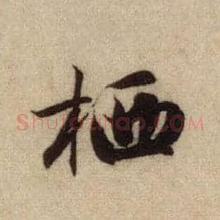 栖