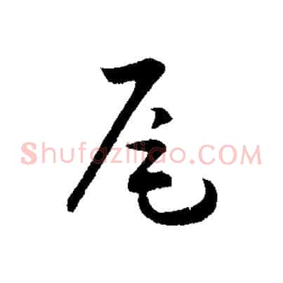 尾