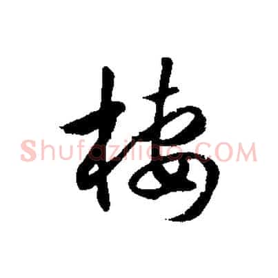 棲