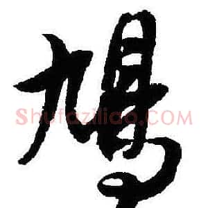 鸠