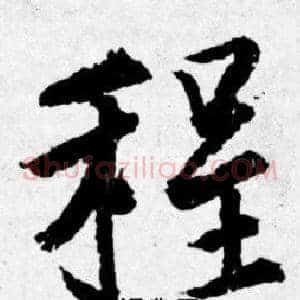 程