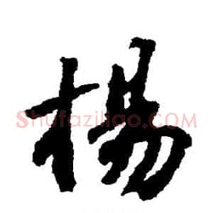 杨