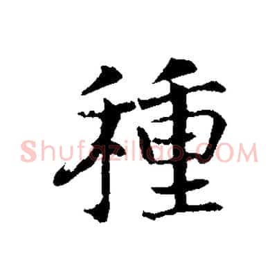 種