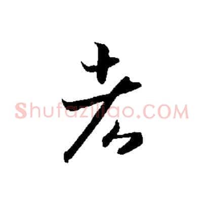 者