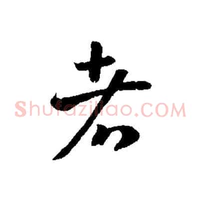者