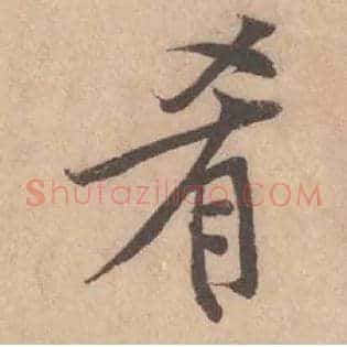 肴