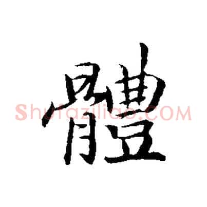 體