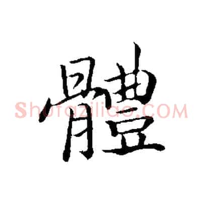 體