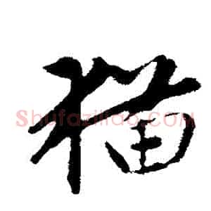 貓