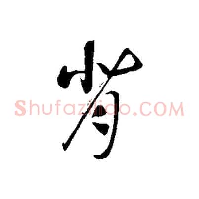 背