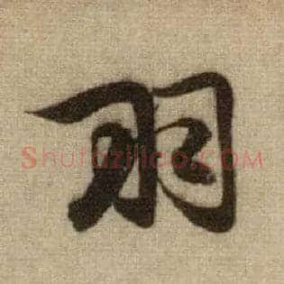 羽