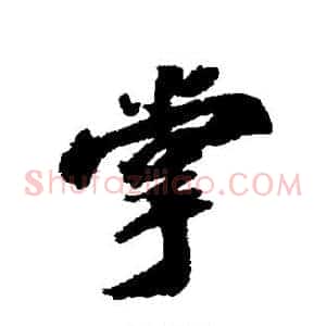 掌