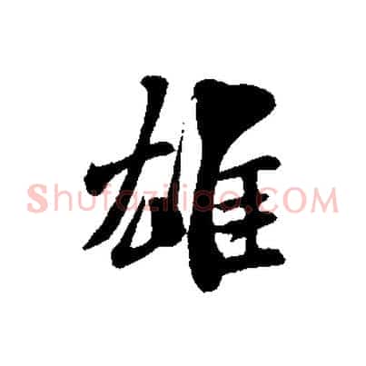 雄